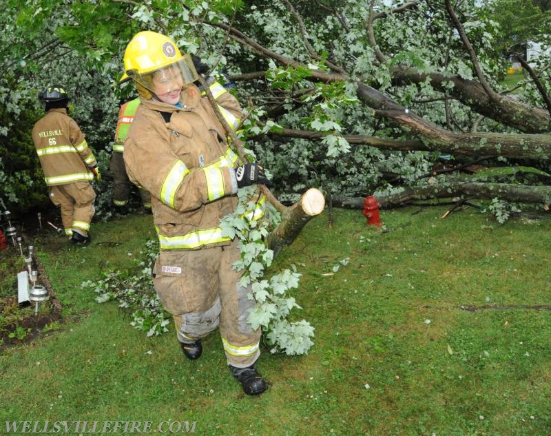 On Tuesday, June 28, 4:01 p.m., Wellsville Fire Company responded to a large tree knocked down by high winds in Warrington Township, Poplar Road.  The tree just missed falling into the house.  No injuries.   Photos by Curt Werner