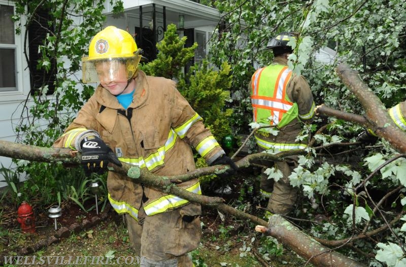 On Tuesday, June 28, 4:01 p.m., Wellsville Fire Company responded to a large tree knocked down by high winds in Warrington Township, Poplar Road.  The tree just missed falling into the house.  No injuries.   Photos by Curt Werner