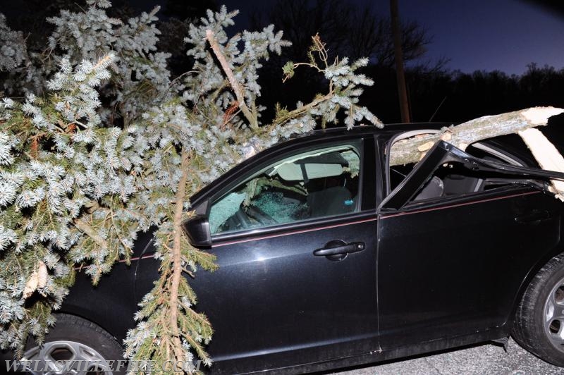 Monday morning, February 13, vehicle into fallen tree on Mt. Zion Road.  photos by Curt Werner