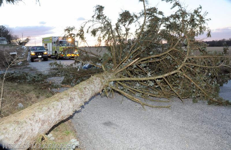 Monday morning, February 13, vehicle into fallen tree on Mt. Zion Road.  photos by Curt Werner