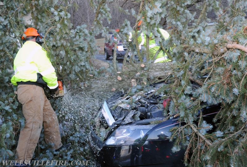 Monday morning, February 13, vehicle into fallen tree on Mt. Zion Road.  photos by Curt Werner