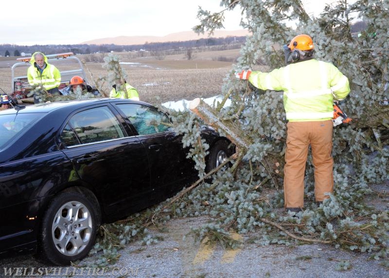 Monday morning, February 13, vehicle into fallen tree on Mt. Zion Road.  photos by Curt Werner