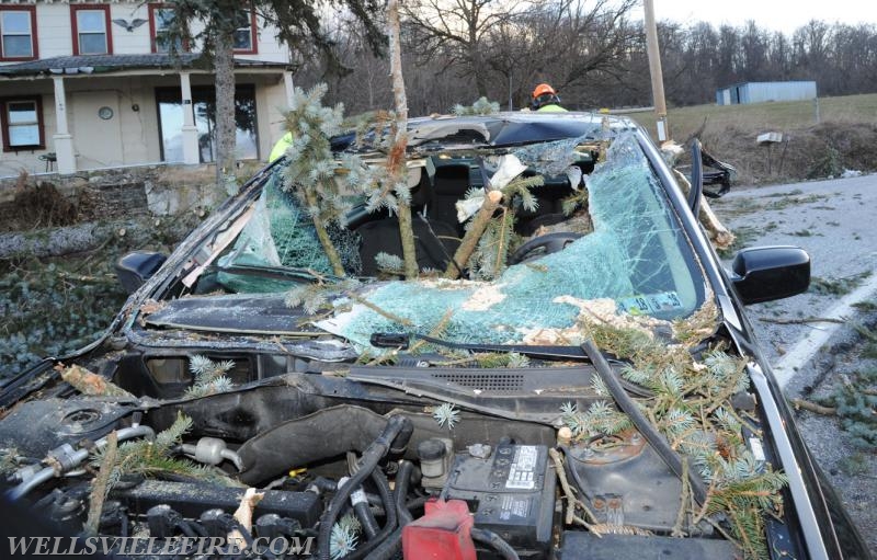 Monday morning, February 13, vehicle into fallen tree on Mt. Zion Road.  photos by Curt Werner