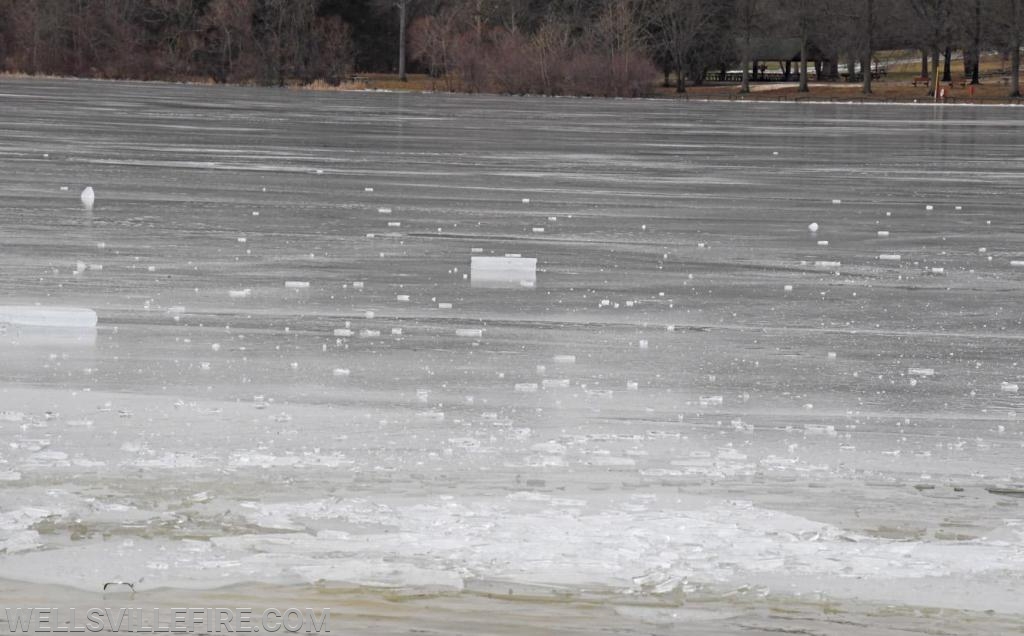 Polar Plunge on Saturday, January 26, at Gifford Pinchot State Park. photos by curt werner
