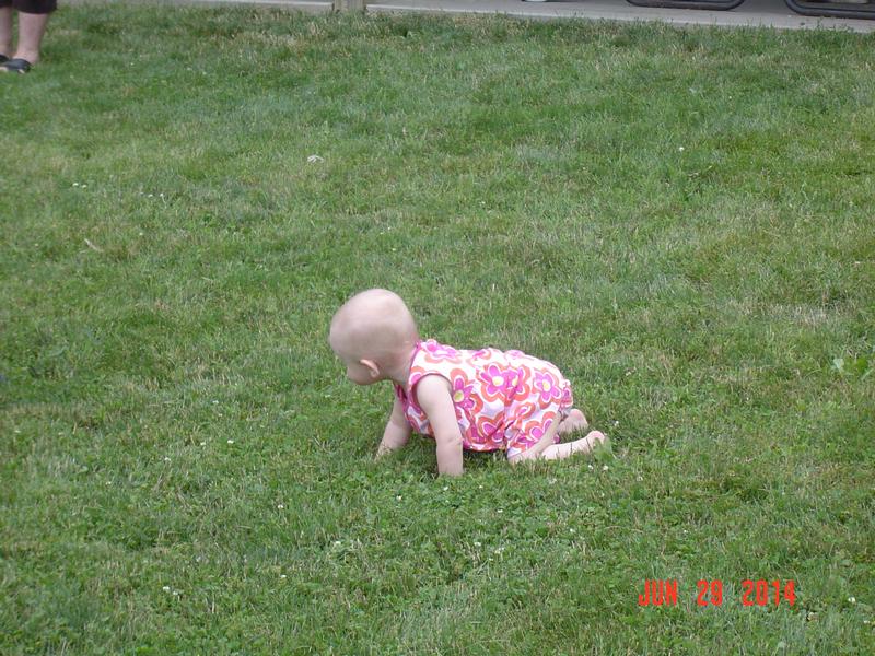 2014 Appreciation Picnic - Littlest participant of candy scramble - Photo by Stacy Shank