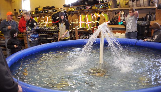 Fishing flea market on Saturday and Sunday.  phots by Curt Werner