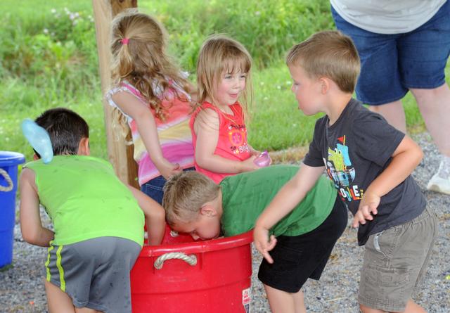 Annual appreciation picnic on 06/30/13.  Photos by Curt Werner